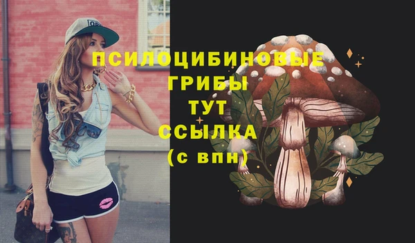 МДПВ Богородицк